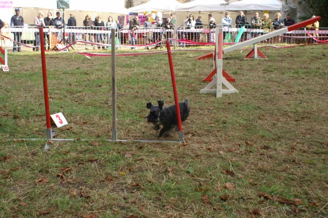 foire-haricots 2011-09-17et18